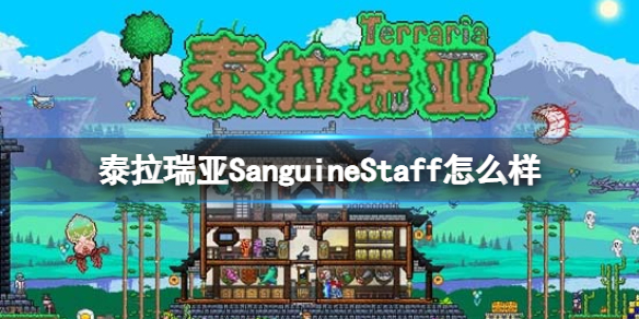泰拉瑞亞SanguineStaff怎么樣