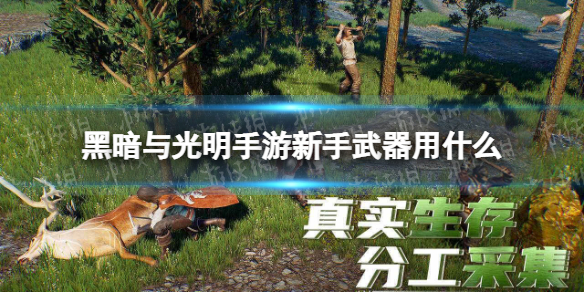 黑暗與光明手游新手武器用什么 黑暗與光明手游新手武器推薦