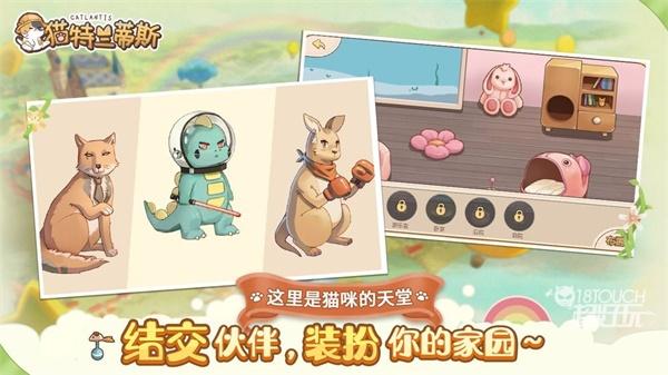 貓咪大陸開服時(shí)間表2022最新一覽