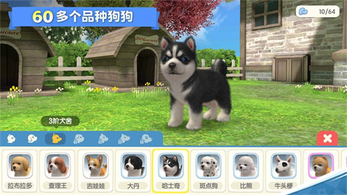 夢幻小狗TapTap預約搶先開啟 和未來的它做個約定