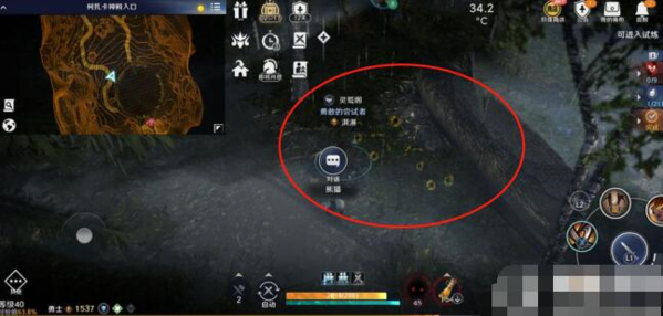 黑色沙漠手游圖片3