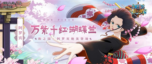 萬紫千紅蝴蝶蘭 航海王啟航阿羅賓絕美登場！