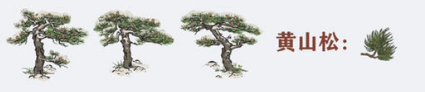 江南百景圖黃山松圖
